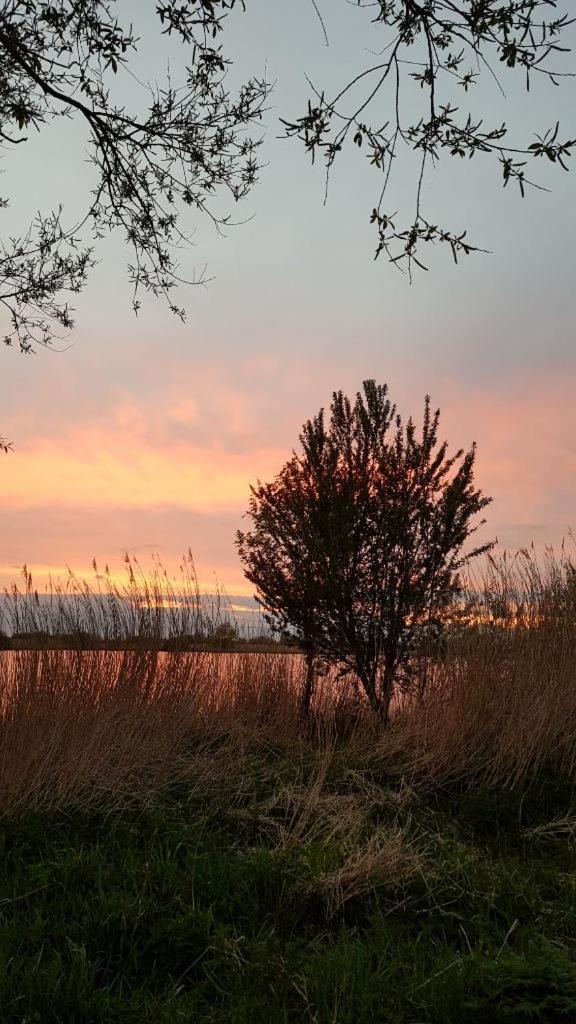 Ferienwohnung Ostfriesenglueck Leer Luaran gambar